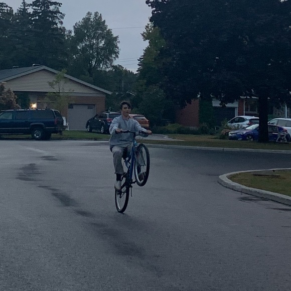 Meet your Posher, Noah - Picture 1 of 1